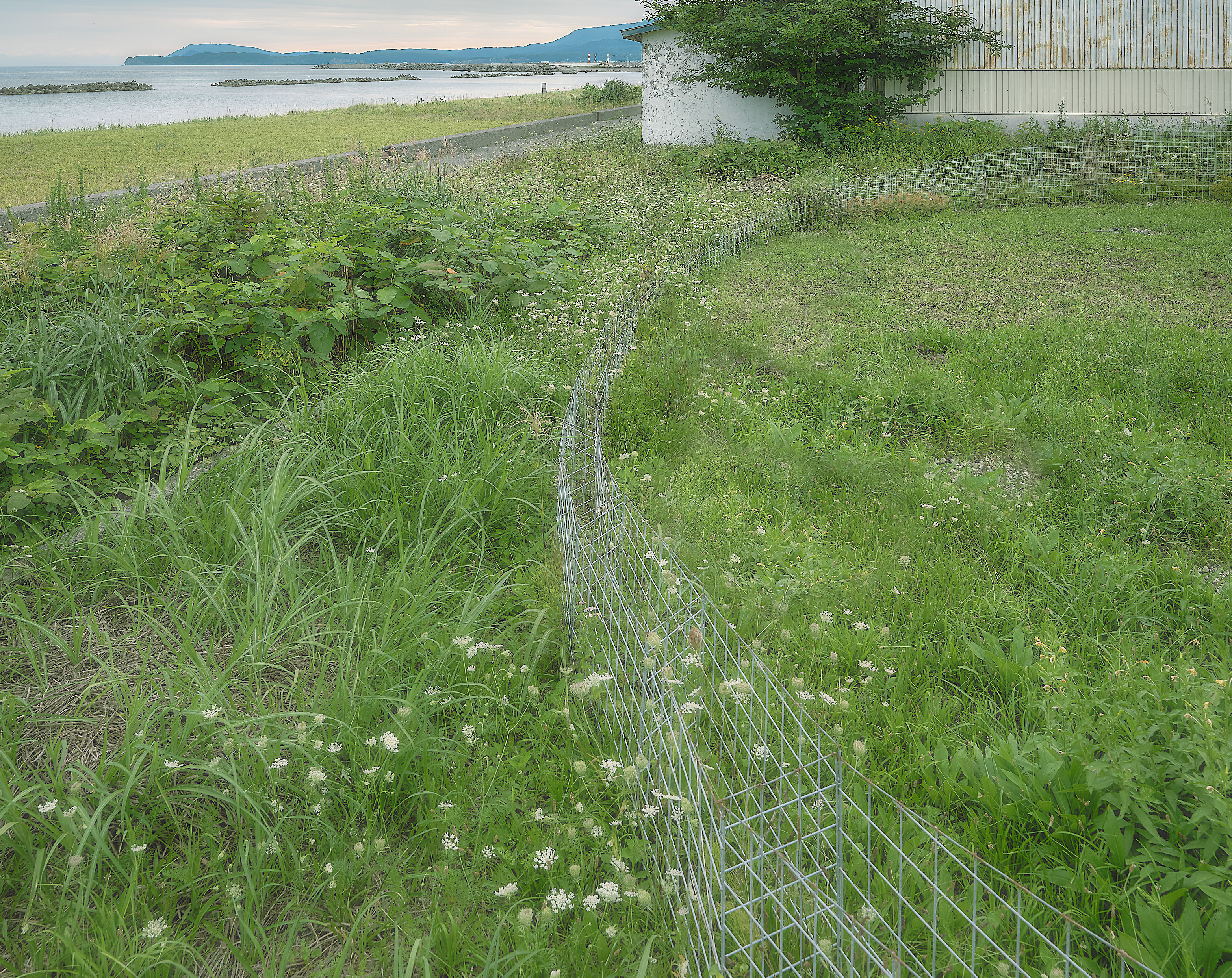 『夏の家』久野浩志建築設計事務所