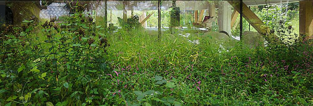 『Showcase』久野浩志建築設計事務所